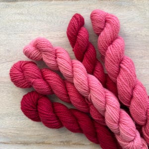 Handgefärbtes Kammgarn Garn: Red Fade Set (100g)