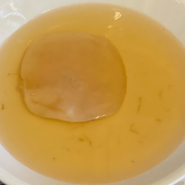 Strong, active kombucha scoby feed with ORGANIC tea