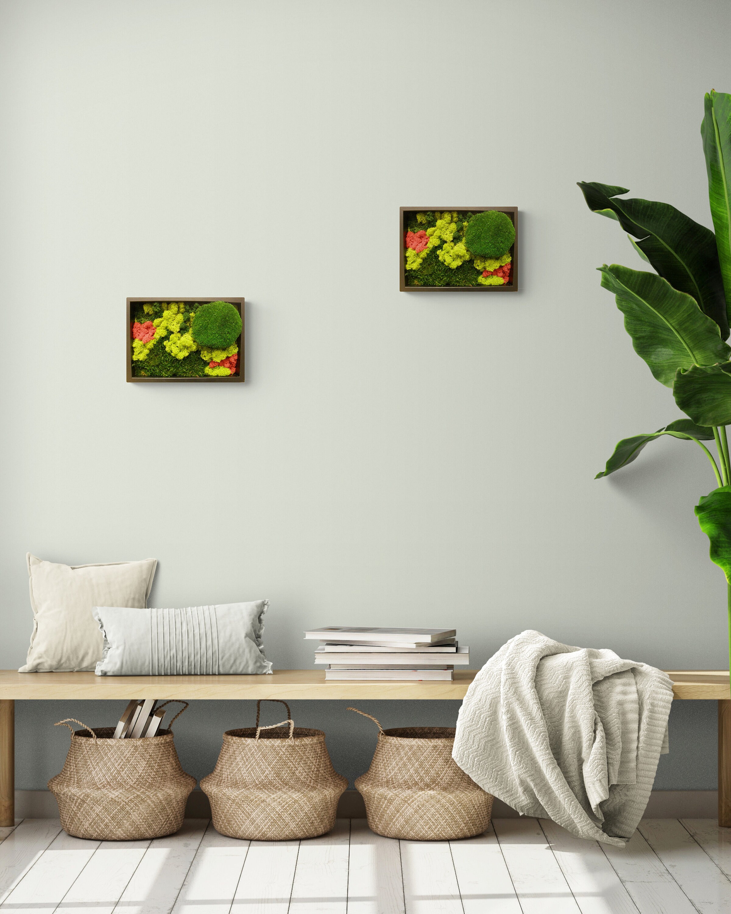 Cadre Mousse Stabilisée, Tableau , Art Mural Mur de Moss Art Wall Cadre Végétal Stabilisé Cadre Végé