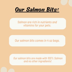 Salmon Bits Pet Treats Dehydrated 100% Salmon Food Topper - Etsy
