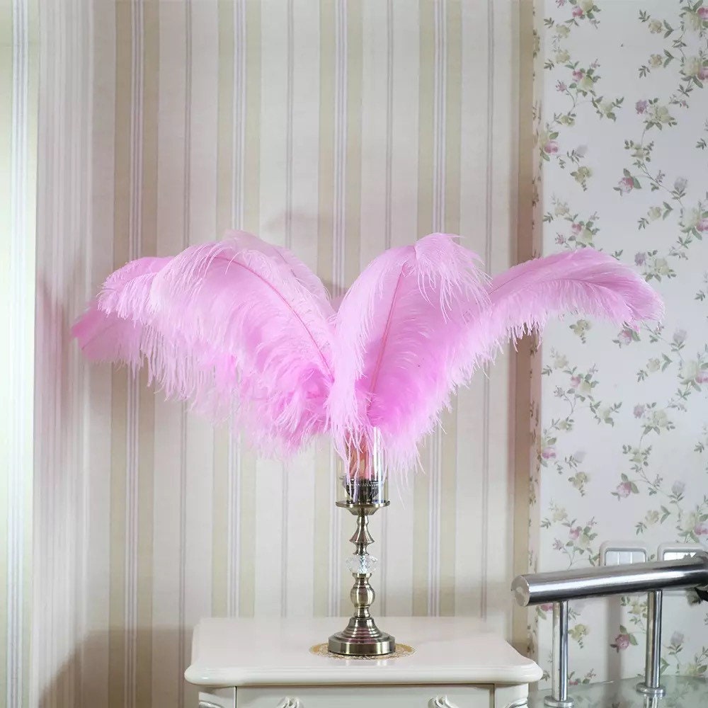 Plumes d'autruche Duveteuses de 45 à 60cm, Nouvelles Couleurs La Mode, Grandes Pour Fête Mariage, Sa