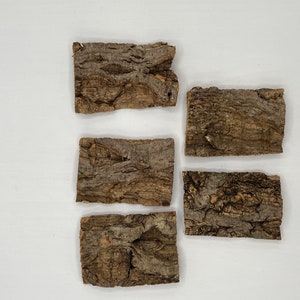 May include: Five rectangular pieces of cork bark with a rough, textured surface. The bark is primarily brown with lighter and darker shades, and the pieces are arranged against a white background. The cork pieces vary slightly in size and shape.