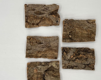 2” x 3” Cork mounts for mini orchids