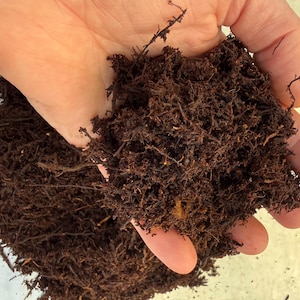 May include: Close-up of dark brown, shredded mulch held in a hand. The mulch appears to be composed of small pieces of wood and organic matter. The texture is rough and fibrous, suitable for gardening and landscaping.