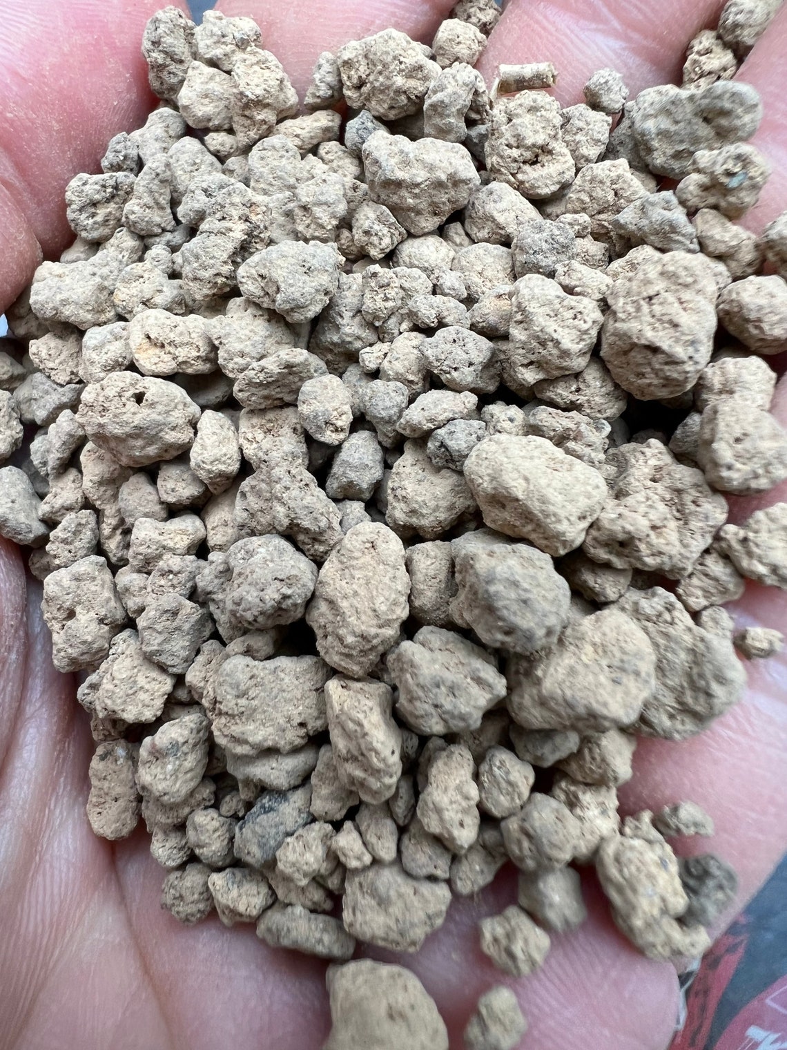 Akadama Substrate for Aroids Terrariums Bonsai Cuttings Etsy