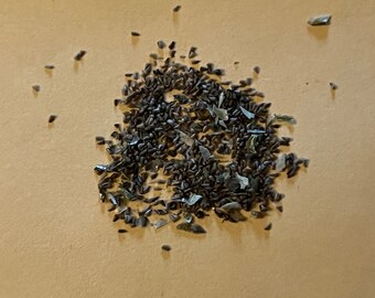 Monolena wenlandii seeds