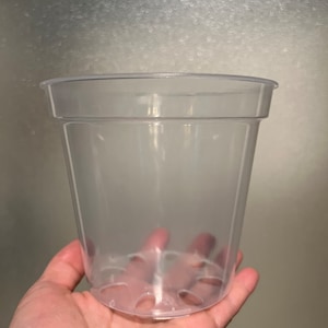 5 inch clear plastic pots for orchids / aroids (12.7cm)