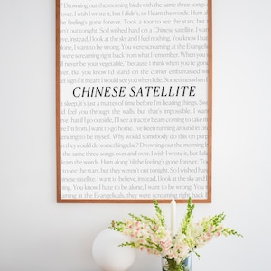 phoebe bridgers &#39;chinese satellite&#39; punisher artwork, phoebe bridgers art, punisher lyrics