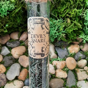 May include: A glass jar with a brown twine lid and a label that reads "Devil's Snare". The jar is filled with dried green plant material and is sitting on a bed of moss and small stones.