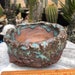 see more listings in the Plants & Pottery section