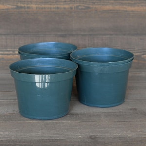 May include: Three dark teal plastic plant pots. The pots are round with a slightly flared rim. The pots are empty and ready for planting. The background is a wooden surface.