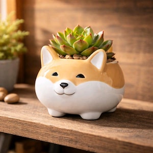 May include: A ceramic Shiba Inu dog-shaped planter with a succulent plant. The planter is tan and white with black eyes and a smiling mouth. The succulent has green and red leaves and sits in a bed of small brown pebbles.