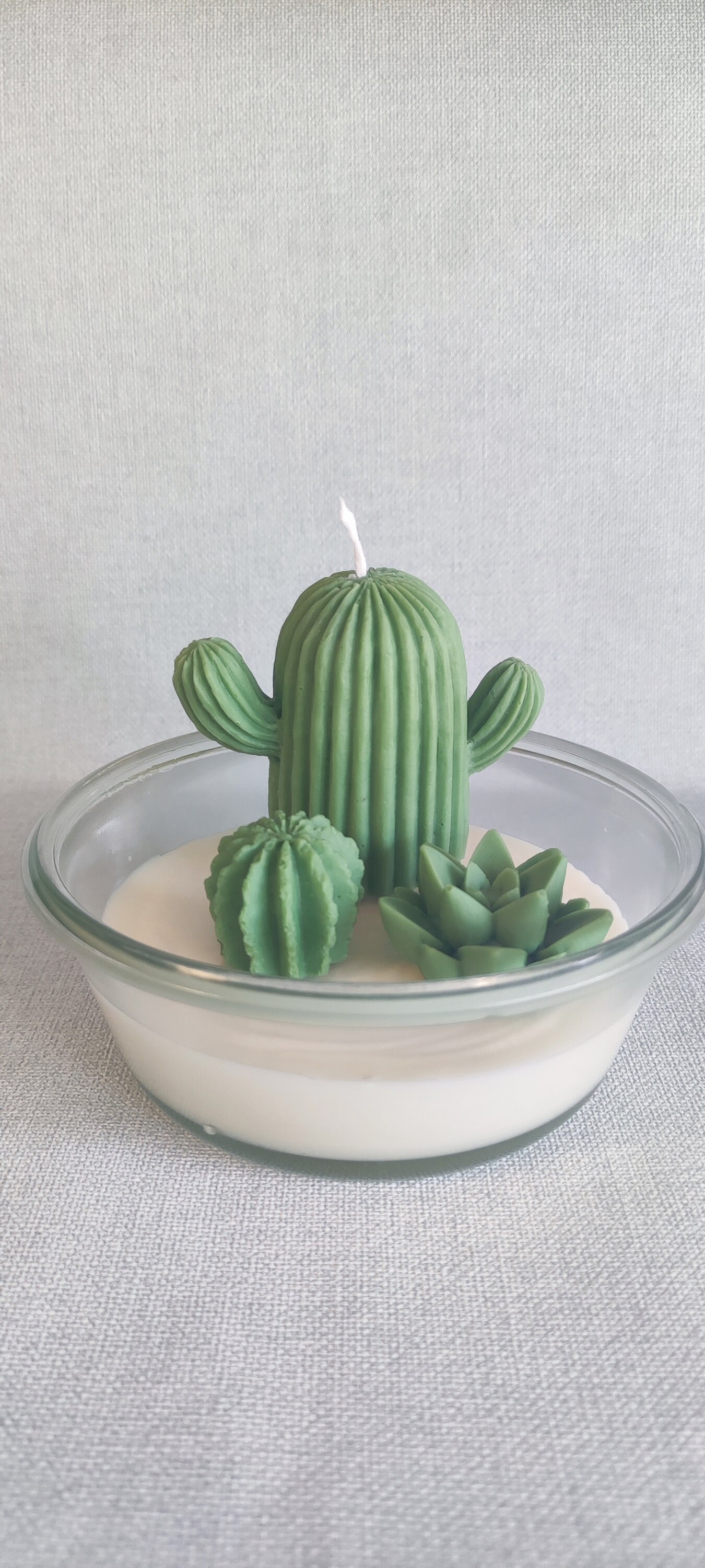 Composition Bougies Naturelles Cactus