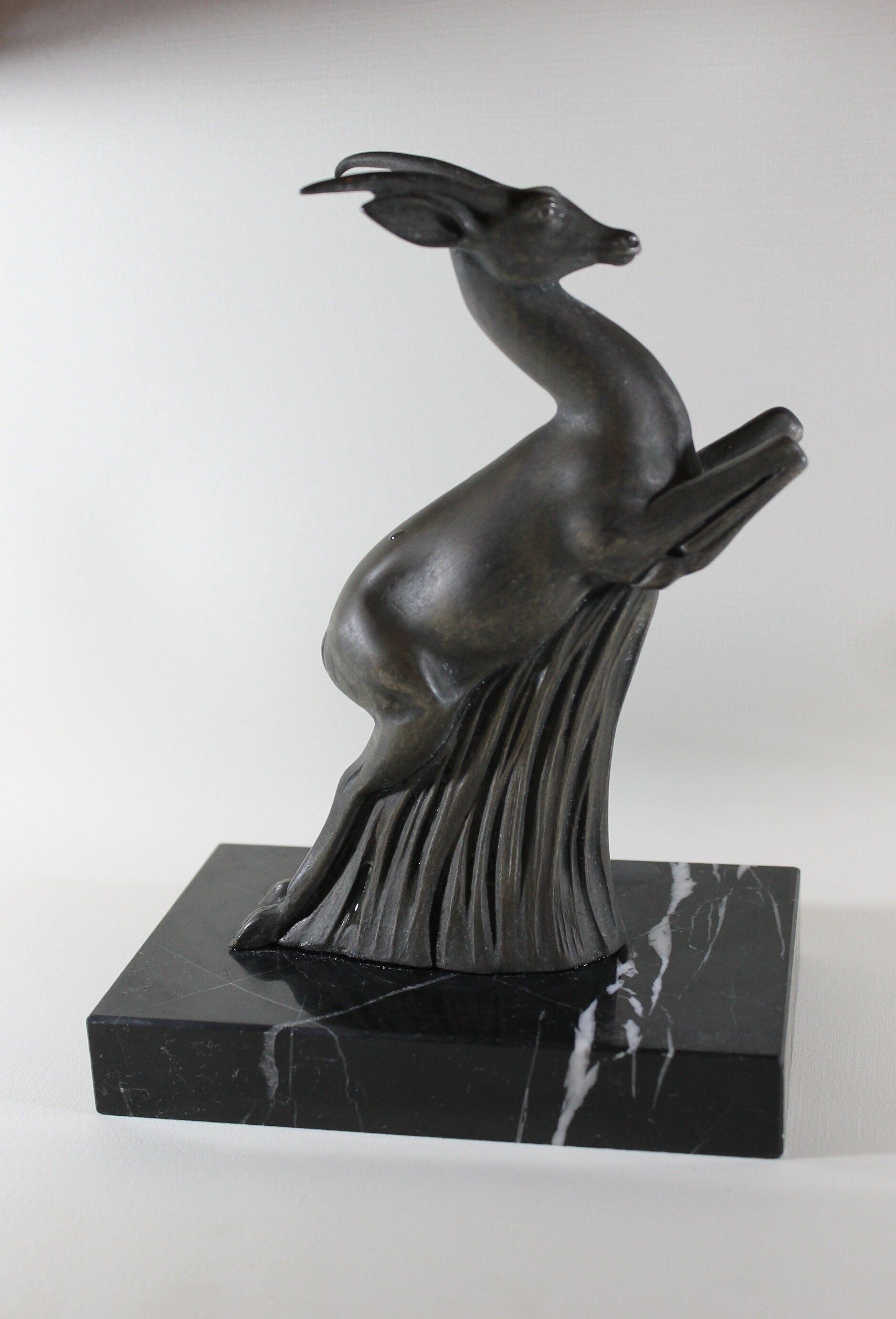 Très Beau Serre Livre Chamois