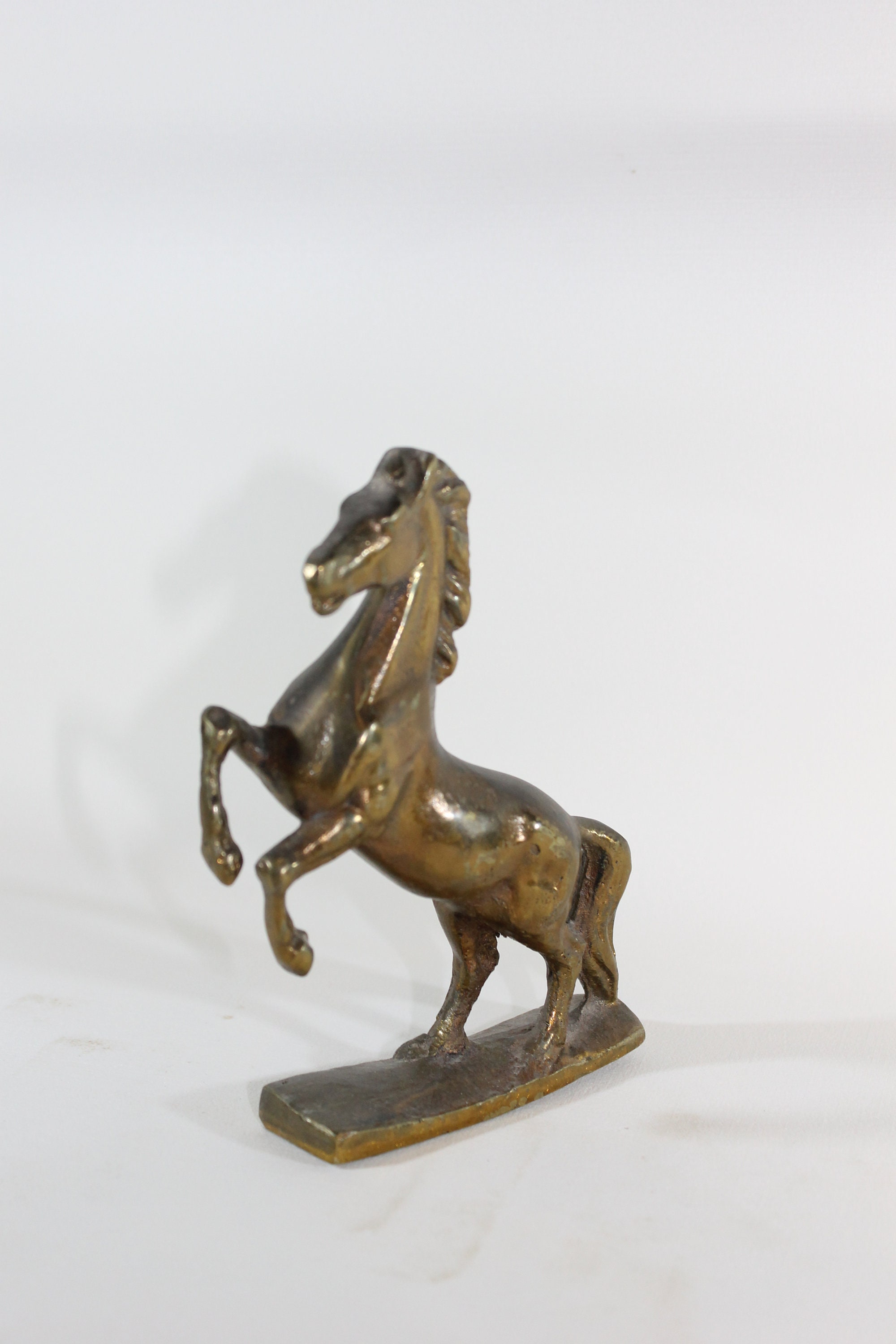 Cheval Laiton Massif