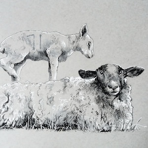Original - NOT A PRINT, sheep art, sheep sketch, lamb drawing, spring time art, farm art, pen and Ink drawing - Unframed artwork