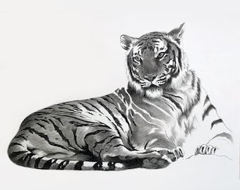 オリジナルの虎の鉛筆画 – 野生動物アート、サイン入り（額装済み、14