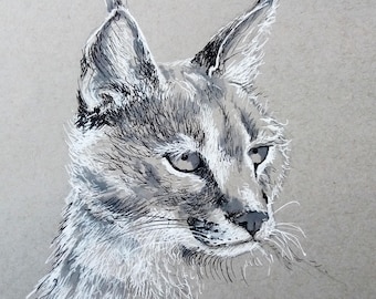May include: A detailed pen and ink drawing of a lynx's head, rendered in shades of gray and white against a neutral background. The artwork captures the animal's intense gaze and textured fur.