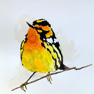 Originale, NON UNA STAMPA - dipinto di uccelli, acquerello di uccelli, arte di uccelli, illustrazione di piccoli uccelli, arte della fauna selvatica - Opera d'arte senza cornice
