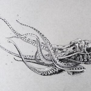Original - NOT A PRINT, octopus sketch, octopus drawing, octopus illustration, octopus pen and ink drawing - Unframed artwork
