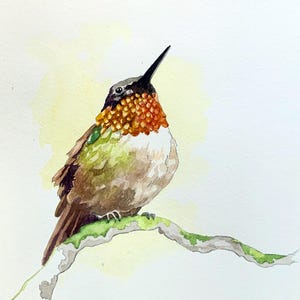 Original - NOT A PRINT, hummingbird watercolor, hummingbird painting, hummingbird art, bird painting, bird sketch - Unframed artwork
