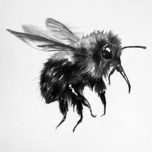 Original, NOT A PRINT - humble bumble, bee drawing, bumble bee art, honey bee, minimal bee, bee charcoal drawing - Unframed Art