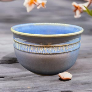 Salsa Bowl