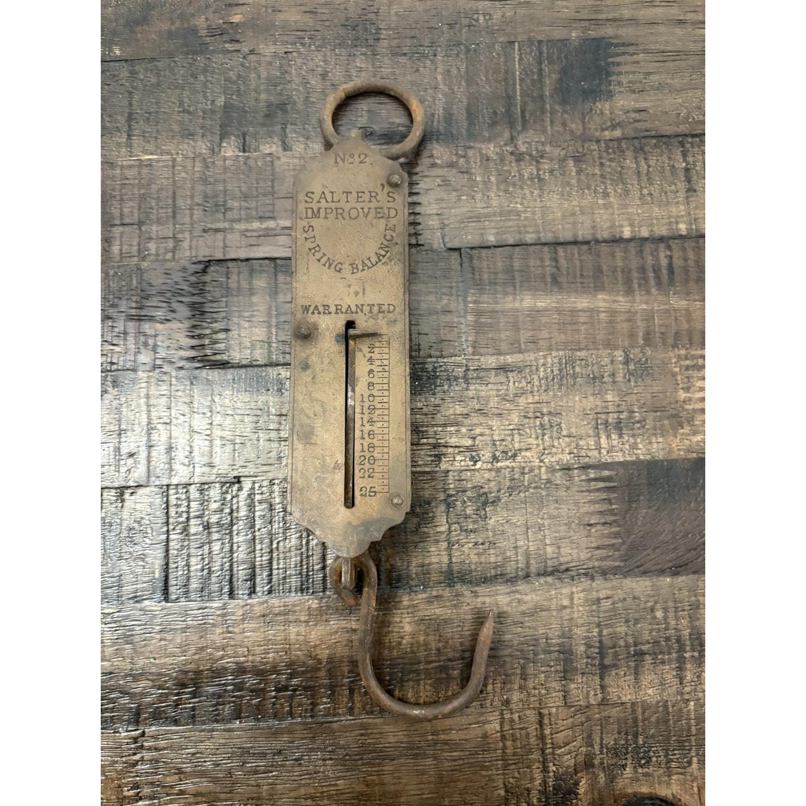 Salter Hanging Scale - Etsy