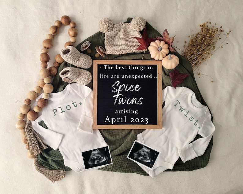 Twin Pregnancy Fall Announcement Fall Pregnancy Autumn Plot Twist Twin pregnancy announcement fall Twin Baby Twin Baby Announce image 1