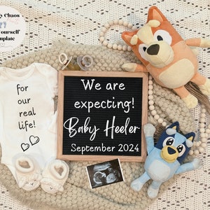 Blue Dog Pregnancy Announcement | Blue Heeler| Baby Announcement | Baby Announcement| Pregnancy Announcement |