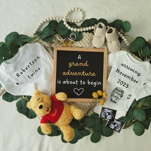 Twin Winnie the Pooh Pregnancy Announcement |  Baby Announcement |Twin Pregnancy| Baby Announcement| Pregnancy Announcement | Pooh Bear|