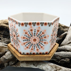 Plant pot; succulent pot; succulents; houseplants