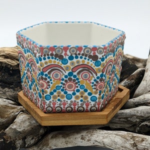 Plant pot; succulent pot; succulents; houseplants