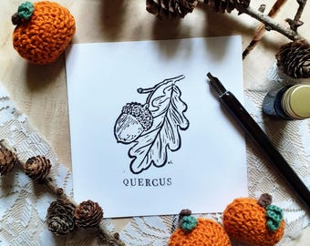 Cartolina di quercia