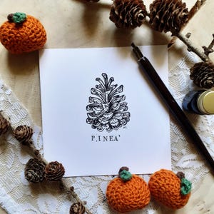 Carte postale Pomme de pin