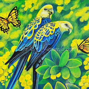 Peaceful Parrots | Art of Jameela