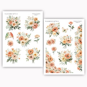 Pfirsichfarbene Blumen Aufkleber für Planer, Journals | Sticker gedruckt auf Transparent Matte Sticker Paper | Frühling, Sommer, peachige Blume