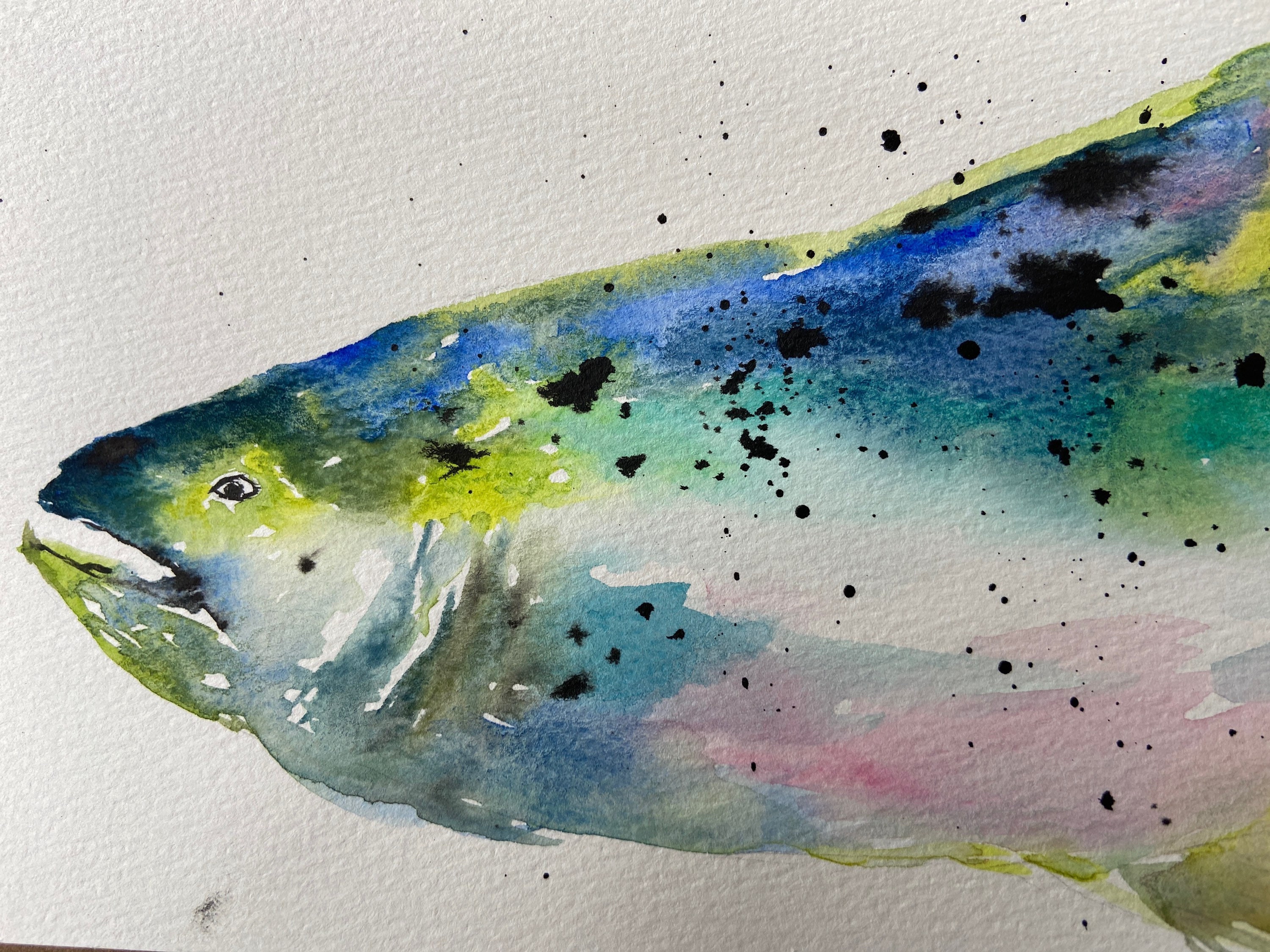 魚の水彩画 大きめのキャンバス il_fullxfull.3604421477_fgeb.jpg