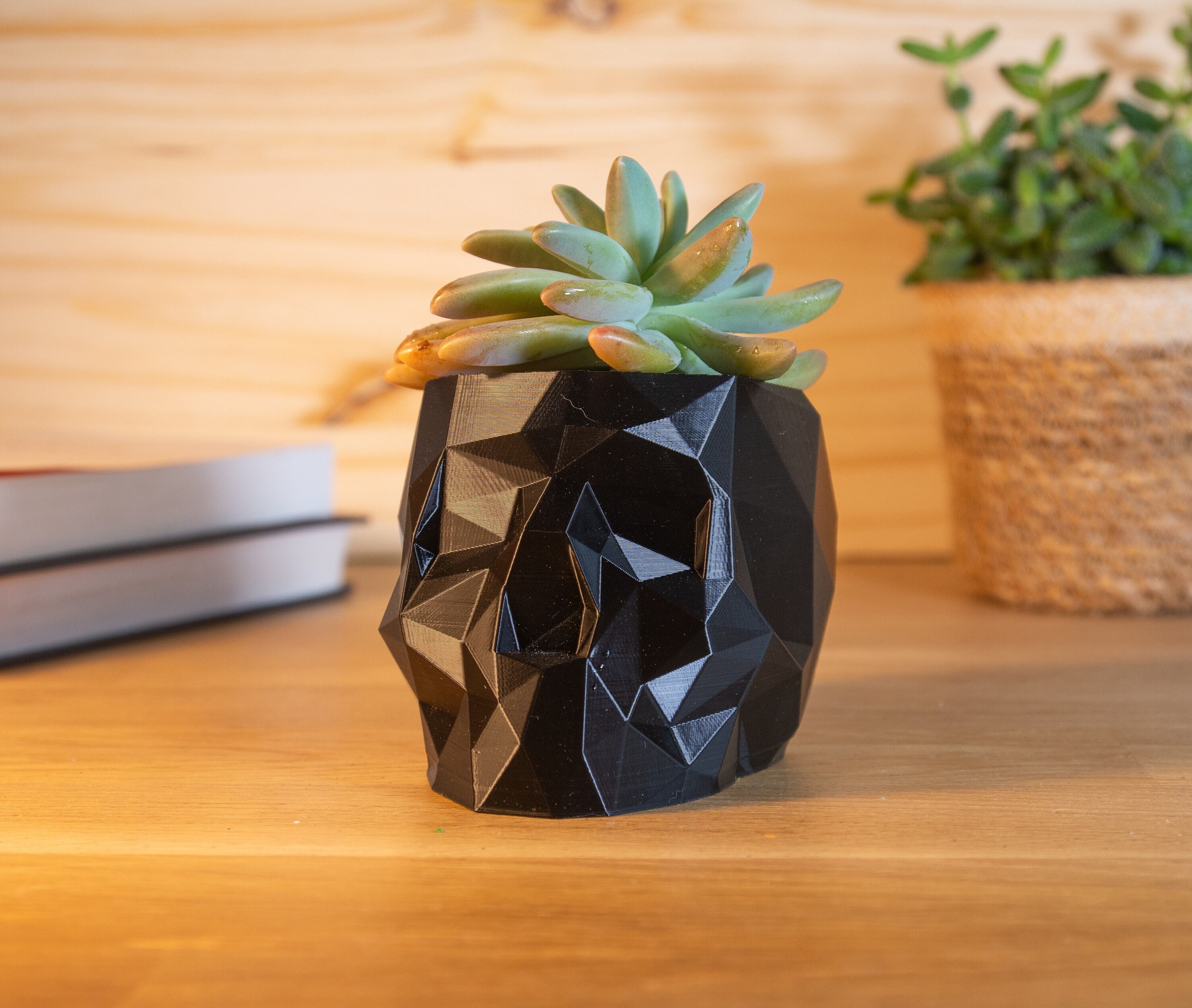 Pot en Forme de Tête Mort 3D