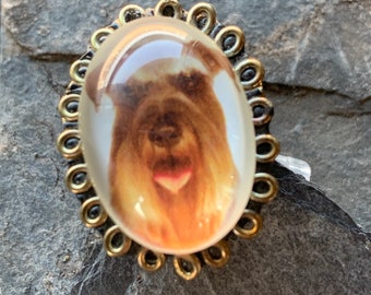 Ring with dog photo