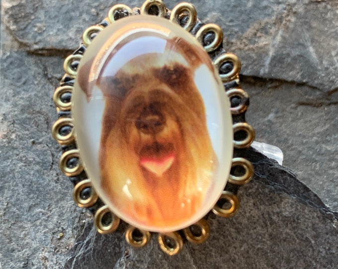 ring with dog photo