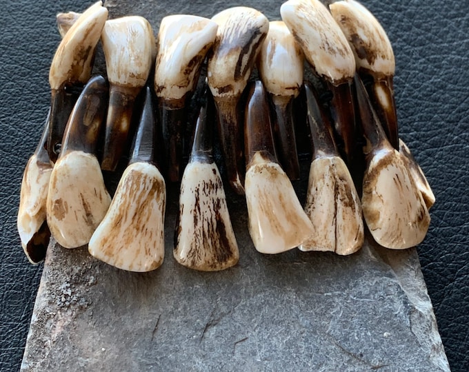 buffalo tooth bracelet