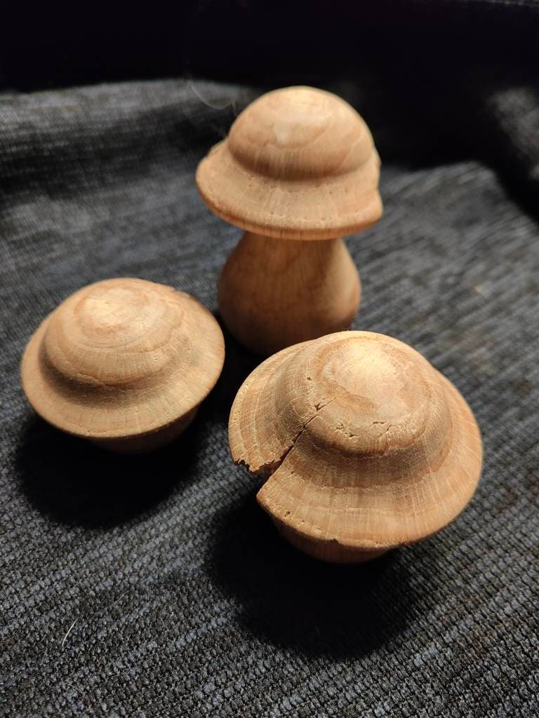 Champignons Deco