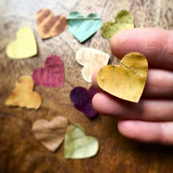 Natural Dried Leaf Hearts x 120, Real Leaf Love Hearts, Autumn Leaves Dried Leaf Confetti Decor Wedding Anniversary Birthday Gift Art Craft