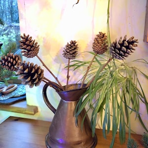 May include: A copper jug displays several pine cones on sticks, creating a rustic arrangement. The jug sits on a wooden shelf, with greenery and a window in the background. The pine cones are brown and textured.