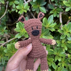 Può includere: Un orsacchiotto di peluche marrone all'uncinetto con occhi neri e un naso nero. L'orsacchiotto è in piedi su una mano.