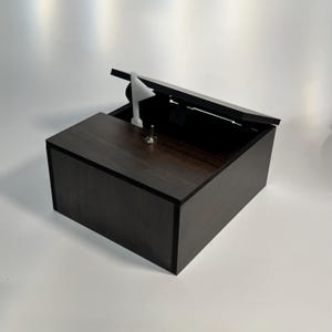 Può includere: Una scatola di legno marrone scuro con un bordo nero e un coperchio incernierato. Il coperchio è aperto e rivela un piccolo interruttore bianco all'interno della scatola.