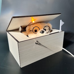 Smart Useless Box with 30 Funny Reactions – Interactive Prank Toy, Attitude Robot Box, USB-Powered Gag Gift
