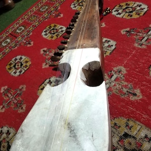May include: A stringed musical instrument, likely a sitar or similar, with a light-colored body and a long neck. The instrument has multiple strings and tuning pegs. It rests on a red patterned rug.