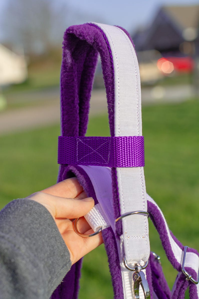 May include: Close-up of a purple and white equestrian halter. The halter features a plush purple lining, a white padded strap, and a purple nylon strap. Silver-coloured metal hardware is visible, including a snap hook and a ring.